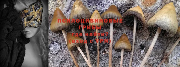 молекула духа Абаза