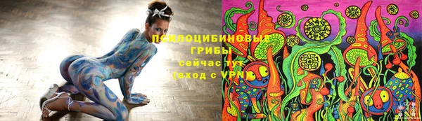 прущие грибы Вязьма